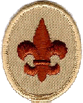 Scout Badge