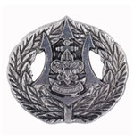 Seabadge Trident Pin