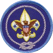 The Boy Scout Badge — ScouterLife