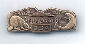 Type IIA Bronze Badge