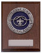 District Award of Merit Plaque